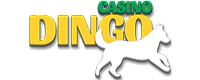 Casino Dingo